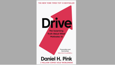 Daniel Pink, Drive, the surprising truth about what motivates us, managing people resource